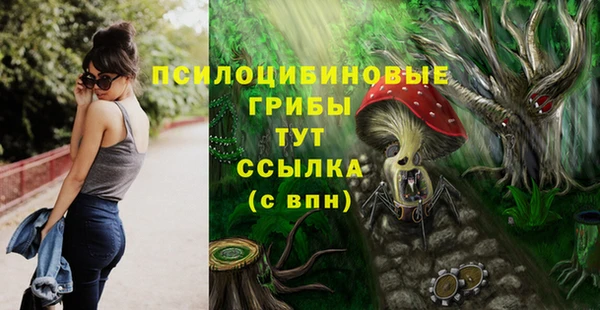 ешки Вязники